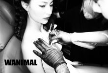 王动WANIMAL官方出品 穿刺的艺术 作品集 – 34P-美图岛