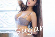 [LeYuan星乐园] 2017.02.15 VOL.028 杨晨晨sugar [51+1P]-美图岛