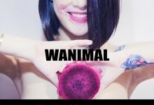 [WANIMAL王动] 2017年12月VIP作品集 VOL.020 [150P]-美图岛