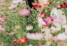 [YITUYU艺图语]2021.09.03 繁花孤影 茶茶[23+1P／280MB]-美图岛