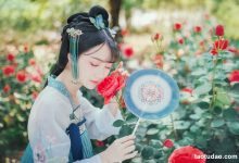 [YITUYU艺图语]2023.05.03 梦境玫瑰 绮罗生的小苏苏[22+1P／78MB]-美图岛