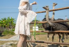 [尤蜜丝]穿搭写真 NO.086[76P／400MB]-美图岛