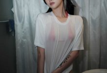 LeeheeExpress LEDG-195B GMS [52P-208MB]-美图岛
